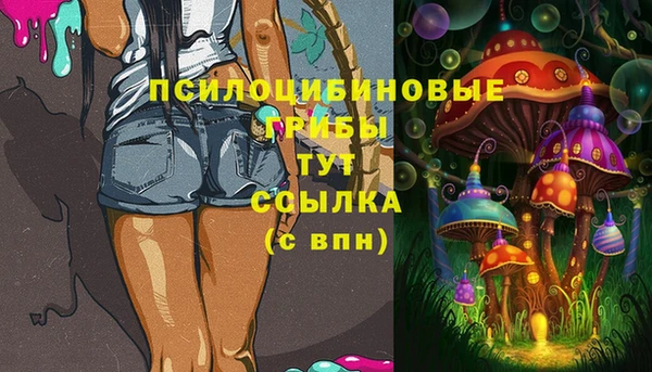 марки lsd Абаза