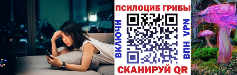 Галлюциногенные грибы Magic Shrooms  купить   Шахунья 